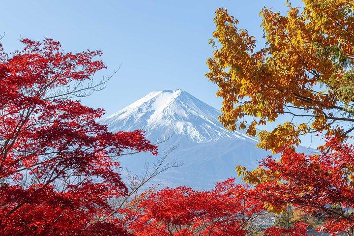 Mount Fuji Day Tour: Chureito, Kawaguchi, Oshino Hakkai & Oishi