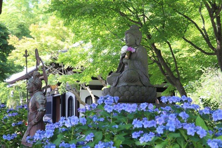Kamakura and Enoshima Day Tour from Shinjuku