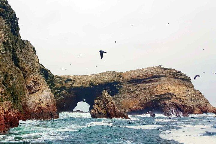 Lima - Paracas - Ica - Lima 3 Days - 2 Nights, Includes Hotel
