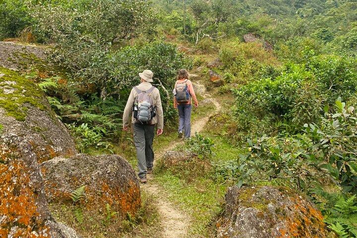 1-daagse trektocht in Ha Giang met lokale experts