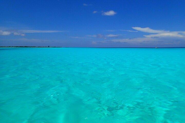 De beste snorkel in Cozumel Cielo vanaf Playa del Carmen