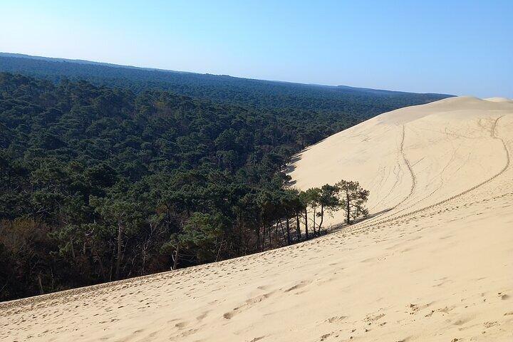Pilat Dune Morgon med ostronprovning! Vad mer?