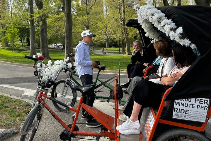 First Class Central Park Tour – Iconic Views & VIP Photo Moments