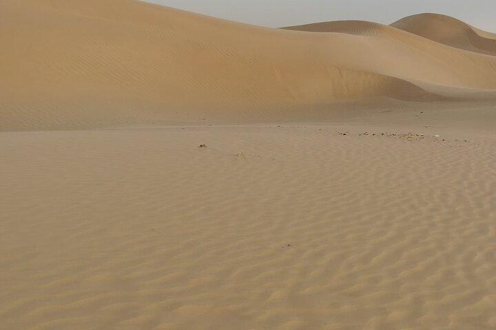 Anmeldelse af Dream Salalah of Desert Sunset