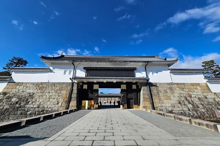 From Osaka or Kyoto: Full Day Sightseeing Tour of Kyoto