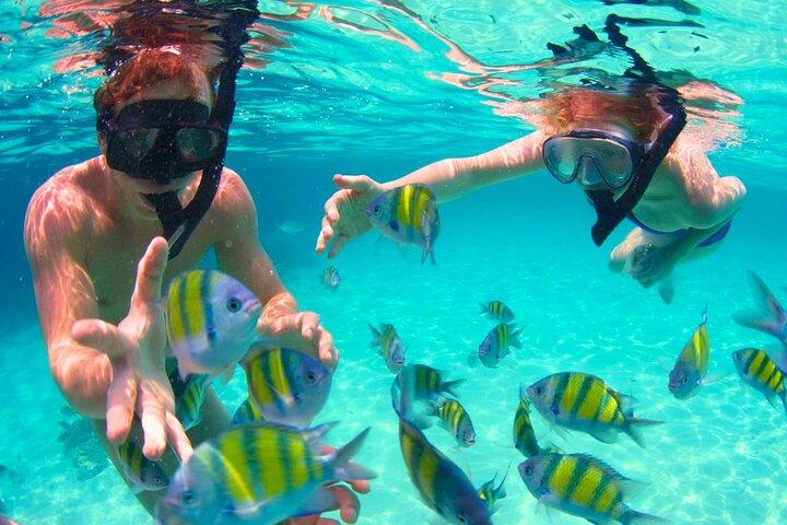 Cartagena's Rosario Islands 5 - Excursão de barco com almoço e snorkel