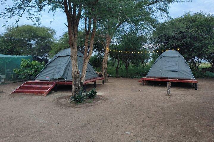 2 Tage Pilanesberg Camping Safari