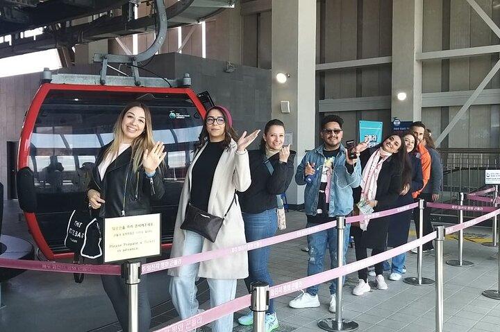 Tour privado de meio dia para cruzeiro Incheon & N Seoul Tower & city
