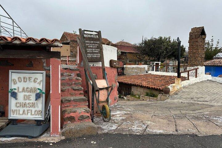 Teneriffa: Bananenplantage und Weinprobe in einem Weingut