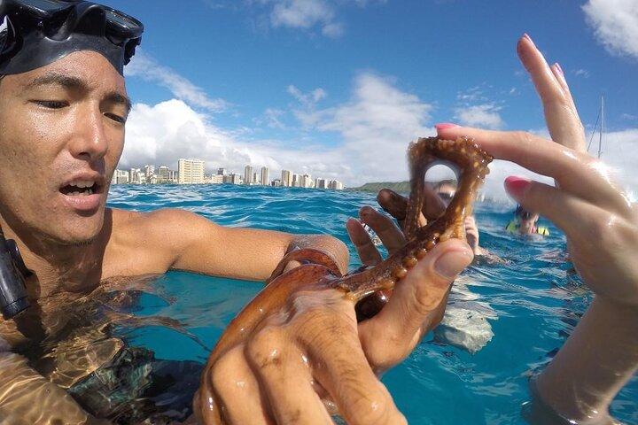 Mauna Kea 3 ore Due soste Sealife Snorkel Adventure