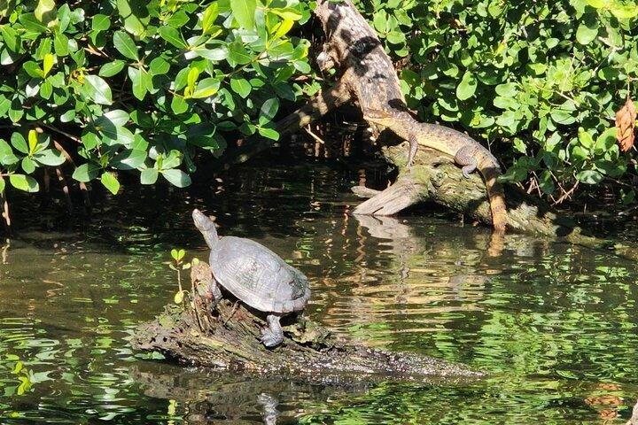 Backwater Wildlife e tour in barca
