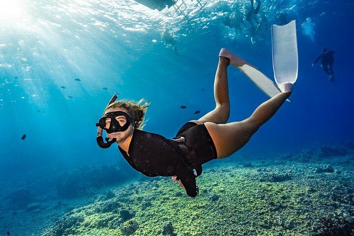 Two Site Snorkeling Adventure featuring the Molokini Crater