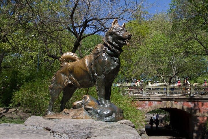Pedicab 2 Hour Central Park Tour