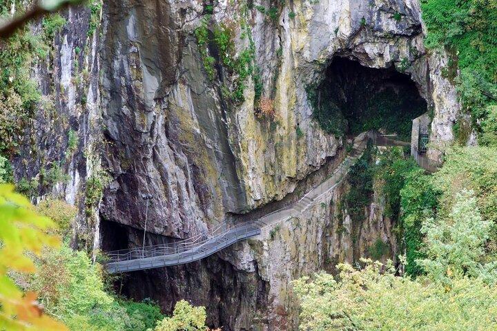 Lipica and Škocjan Caves Full Day Private Tour from Ljubljana