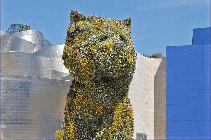 Tour di San Sebastian, Bilbao e Guggenheim da Biarritz