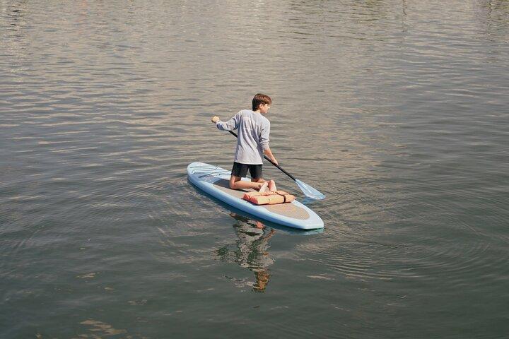 Crystal River Paddle Board udlejning | 3 Timers | Se Manatees!