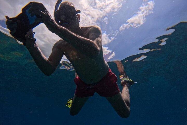 Dagtrip naar Koh Tao & Koh Nang Yuan snorkelen met lunch