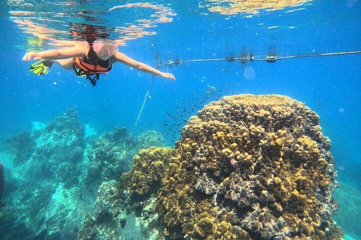 Dagtrip naar Koh Tao & Koh Nang Yuan snorkelen met lunch