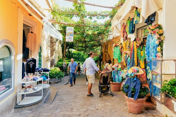Amalfi and Positano Full-Day Cruise by Hydrofoil from Naples