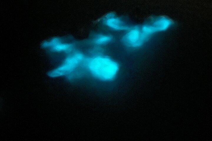 Mystic Waters Eine biolumineszierende Nachttour