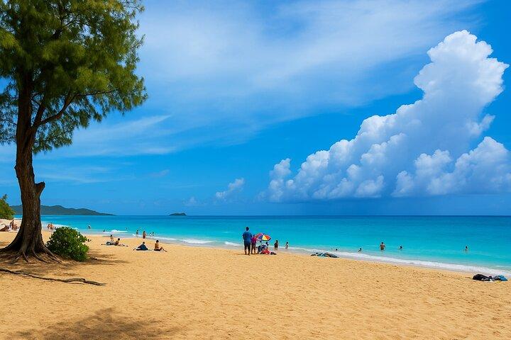 Tour privato di Circle Island North Shore e East Side