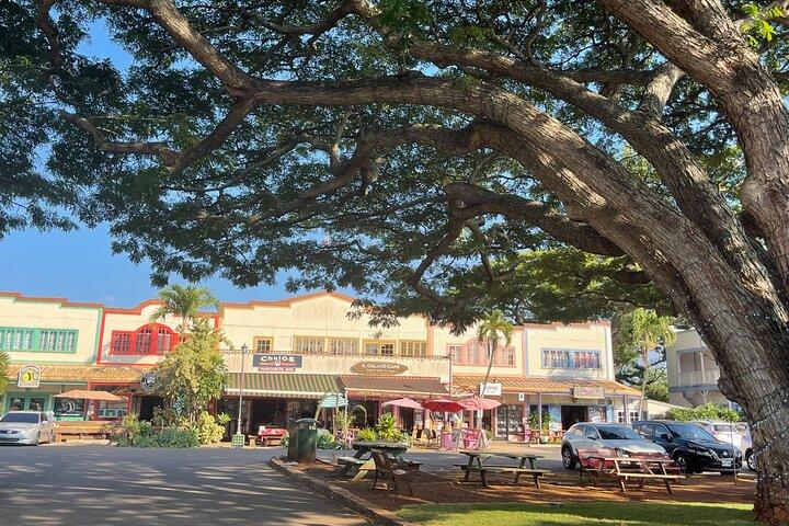 Tour privato di Circle Island North Shore e East Side