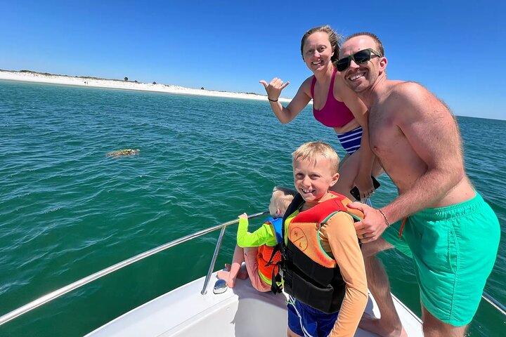 Privat svømning med delfiner og snorkeltur
