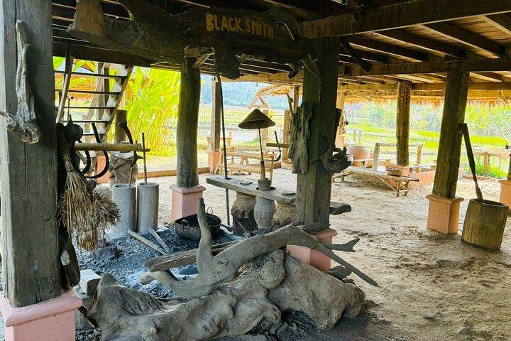 Ris er Livserfaring & Kuang Si Vandfald - Luang Prabang heldagstur