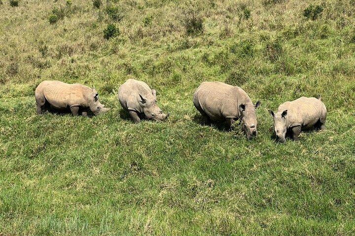 Hoteller i nærheden af Akagera National Park
