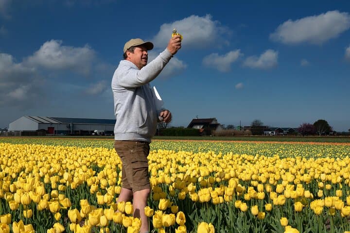 Amsterdam: Day trip to Tulip Farm, Keukenhof + Windmill Cruise