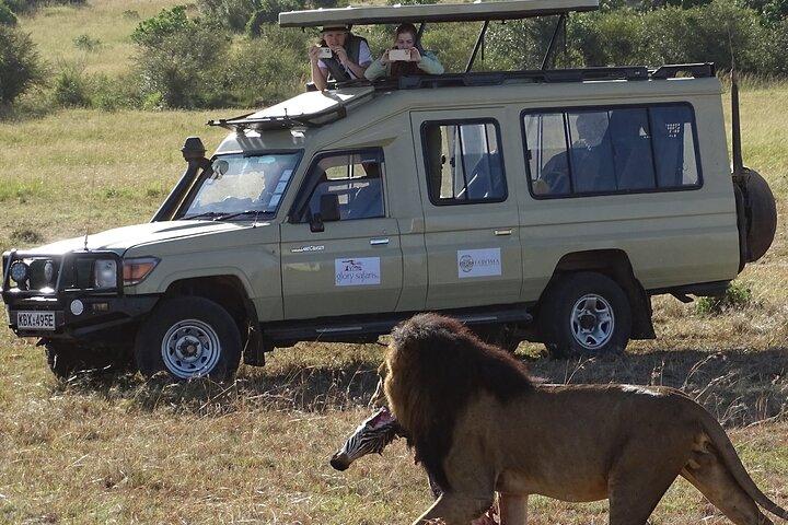 6 días de Kenia Punda Milia Safari