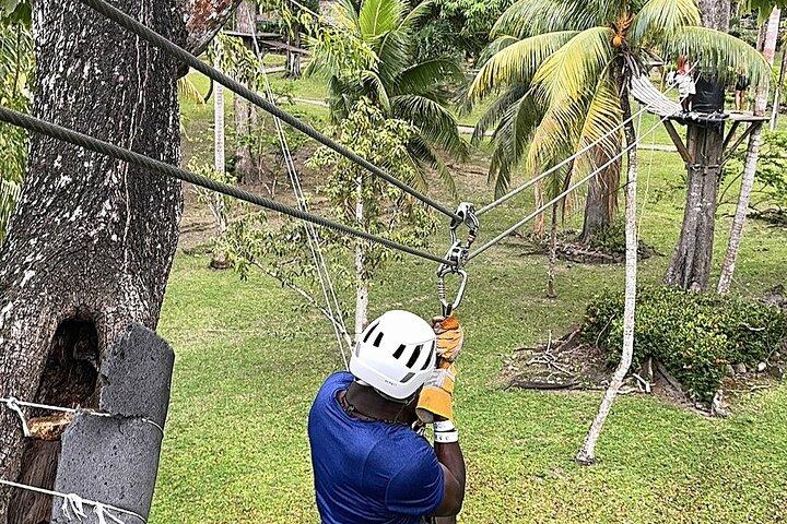 Ziplining e Dunn's River cai Combo de Montego Bay.