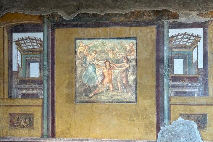 Tour deluxe a Pompei Scavi e Monte Vesuvio da Salerno