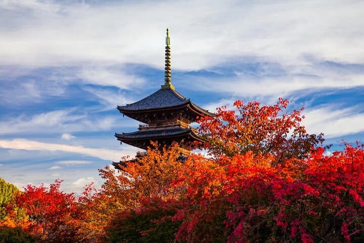Private Day Tour to Mt Fuji - Onsen Bliss & Nature - From Tokyo