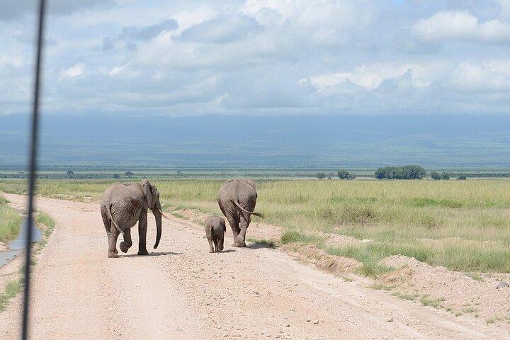 Amboseli Overnight with Accomodation