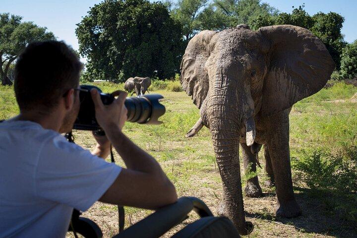 アバーダレス国立公園プライベートサファリ2日間