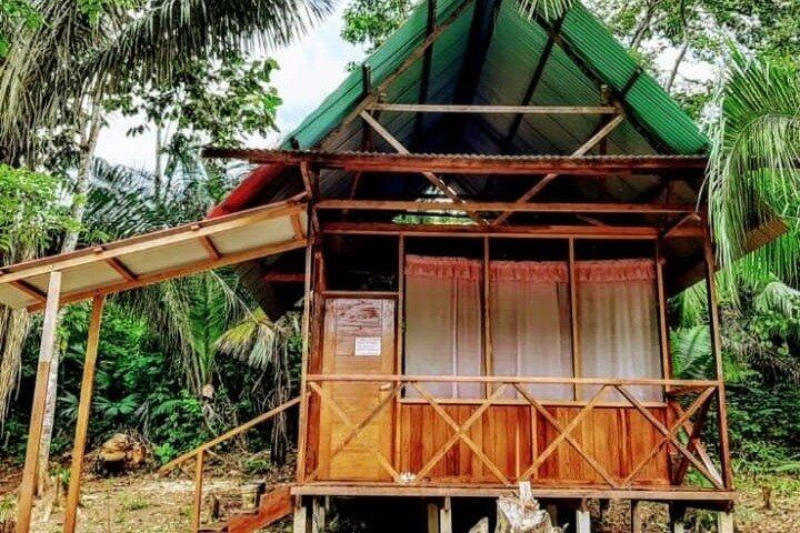 Le meilleur de Tambopata 2 Jours Tour : Les Points Forts de l’Amazonie