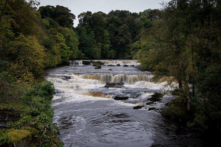 Toutes les créatures Grande et petite visite au départ de York