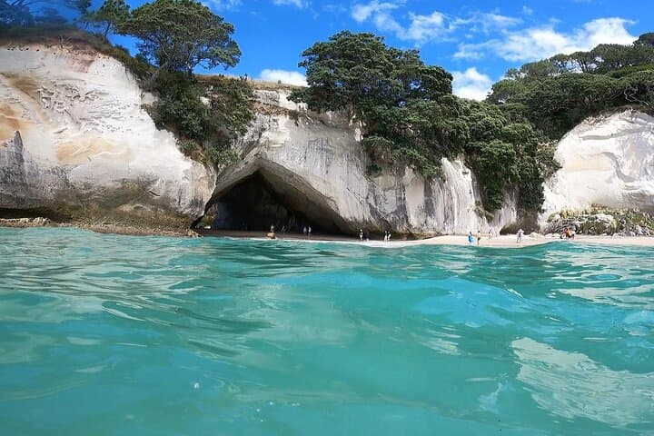 Cathedral Cove & Coromandel, Small-Group Tour with Lunch