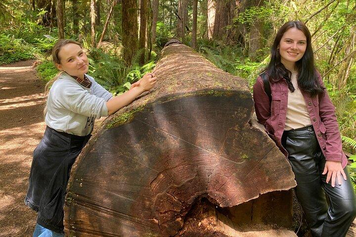 Seattle: Foresta pluviale, spiaggia e Parco Nazionale Olimpico