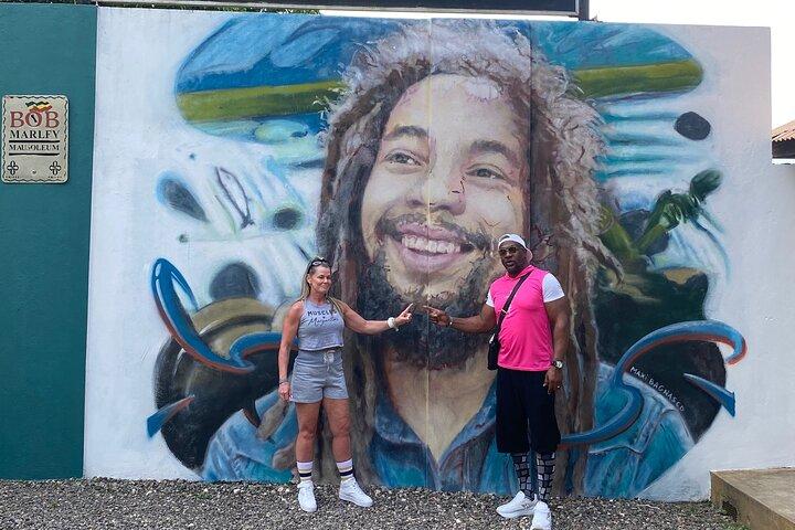 Bob Marley House e Dunns River Falls Tour Privado