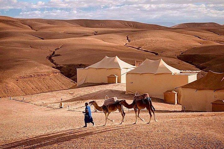 Marrakech: Agafay Desert Quad + Camel Rides + Dinner Show & Pool