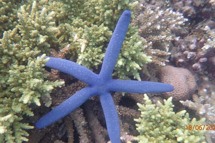 ギリナングー、スダック、ケディス島シュノーケリングツアー