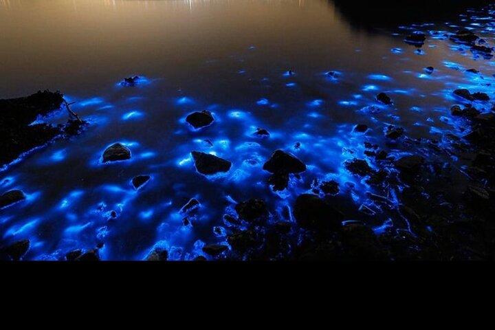 Lysende Lagoon nat tur