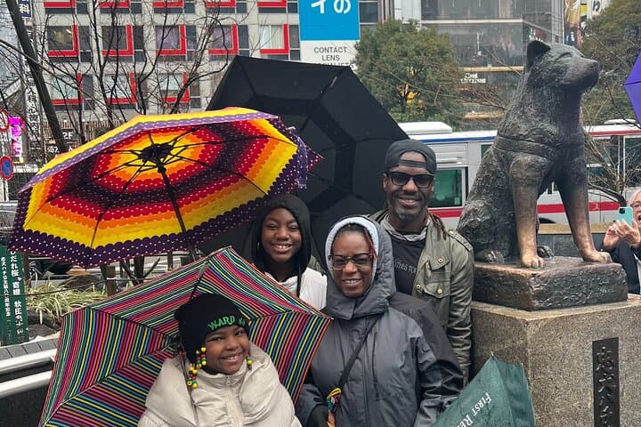 Tokyo Private Walking Tour Hidden Gems and Icons