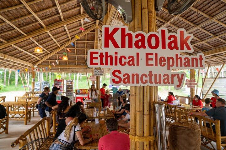 1-times guidet Khaolak Elephant Sanctuary Observation Tour