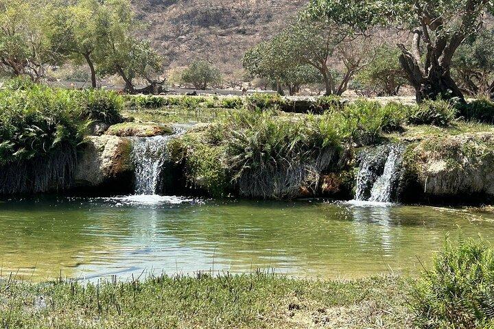 Salalah Mountain Safari, Wadi Darbat, Strand, Dunes, Kameler