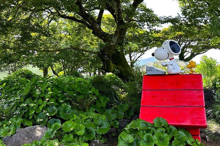 Jeju BTS & K-drama Fãs Small Group Tour incl. Snoopy Garden