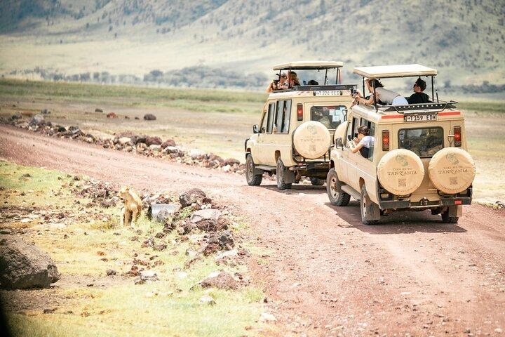 Ngorongoro dagstur