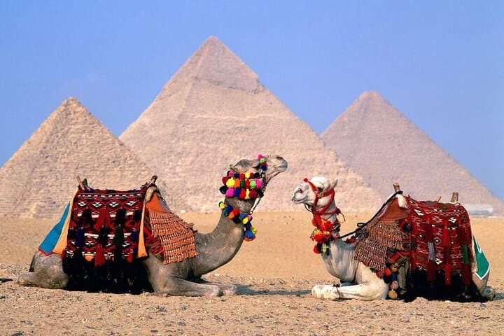 Private tour of the Pyramids of Giza and the Grand Egyptian Museum
